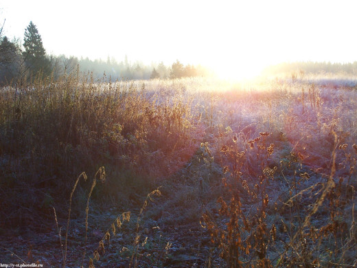 23086 (a): :1024x768